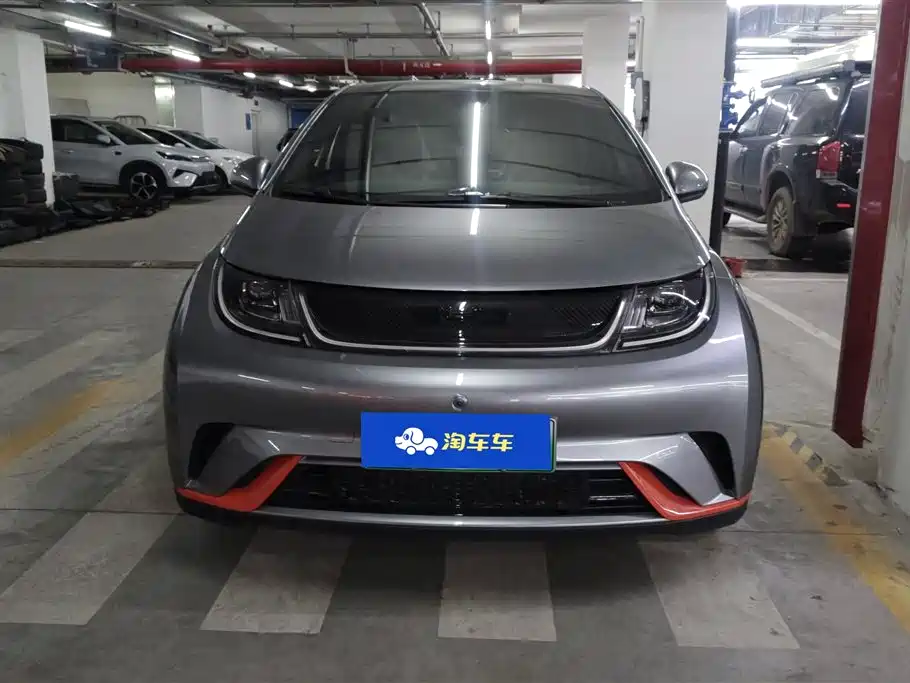 BYD Dolphin 2021 Model 405km Fashion Edition фото 2