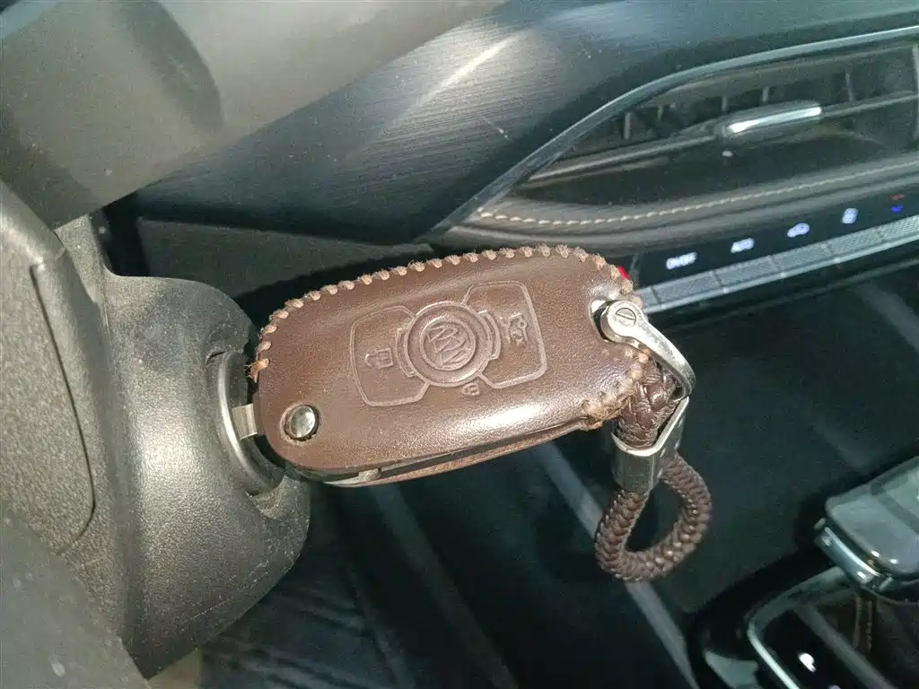 BUICK WEILANG