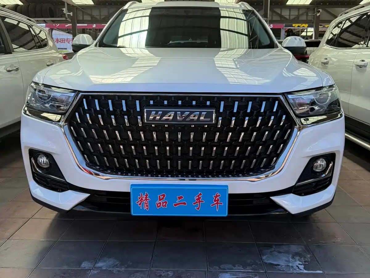 Haval H6 2023 National Trend Edition 1.5T Automatic Urban фото 2