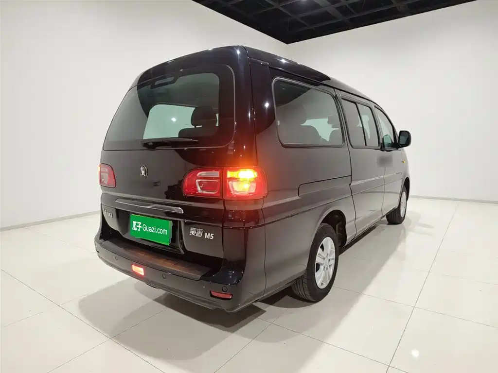 DONGFENG POPULAR LINGZHI