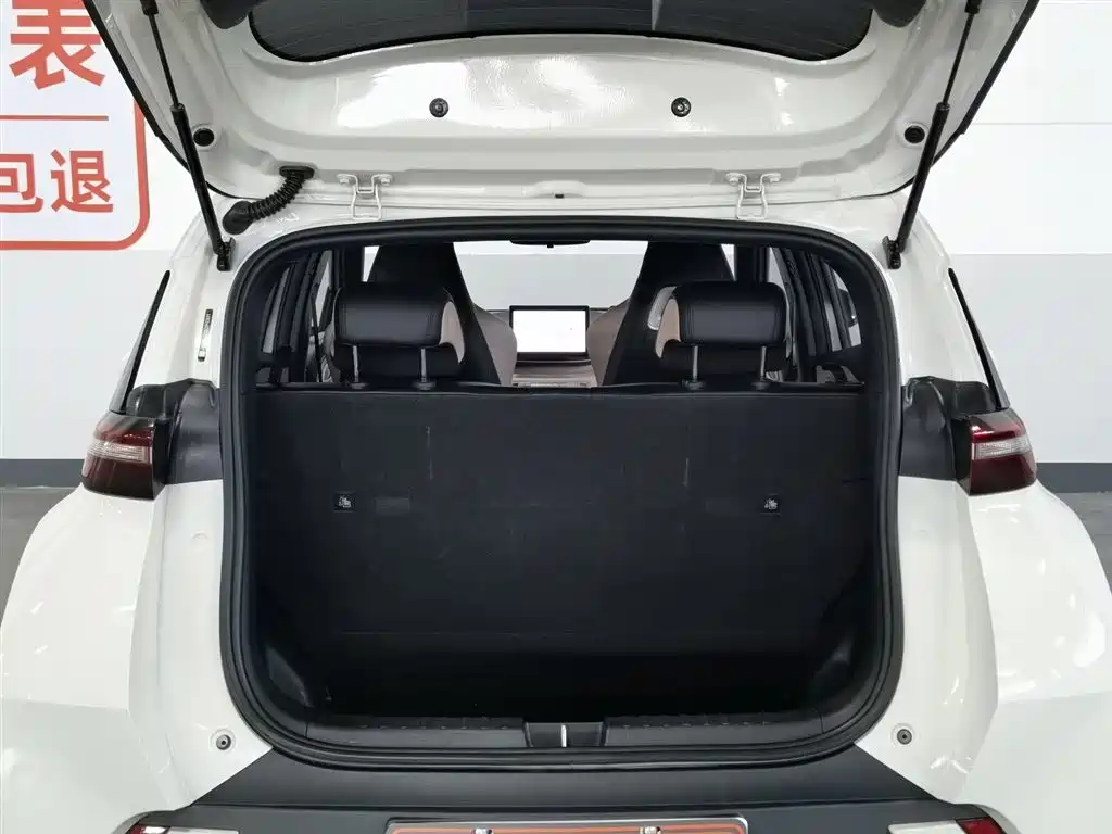 BYD Seagull 2024 Glory Edition 305km Vitality Edition фото 16