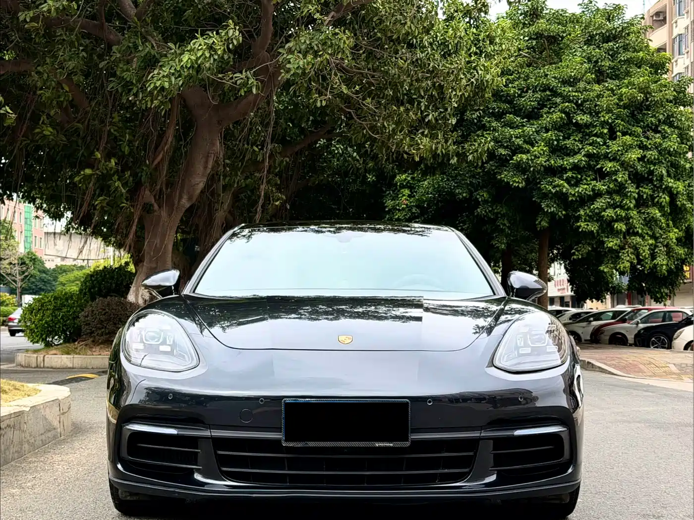 Porsche Panamera 2019 Panamera 2.9T