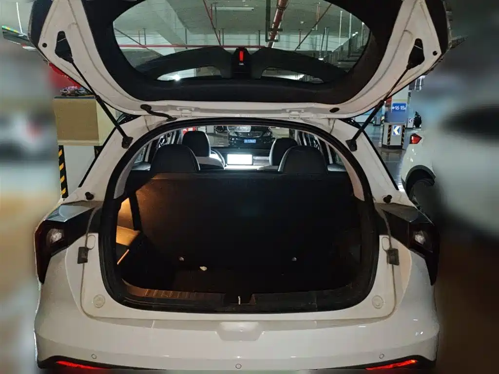 Geely Geometry E Firefly 2022 2022 401KM Thunder Tiger 4-Seater