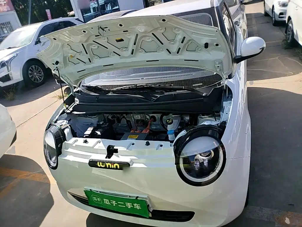 Changan Lumin 2025 2025 205km Fragrant Infusion Edition