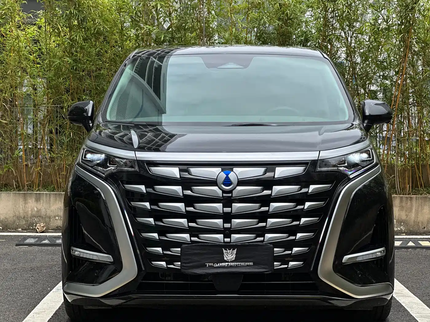 Denza D9 2022 DM-i 970 AWD Flagship фото 2