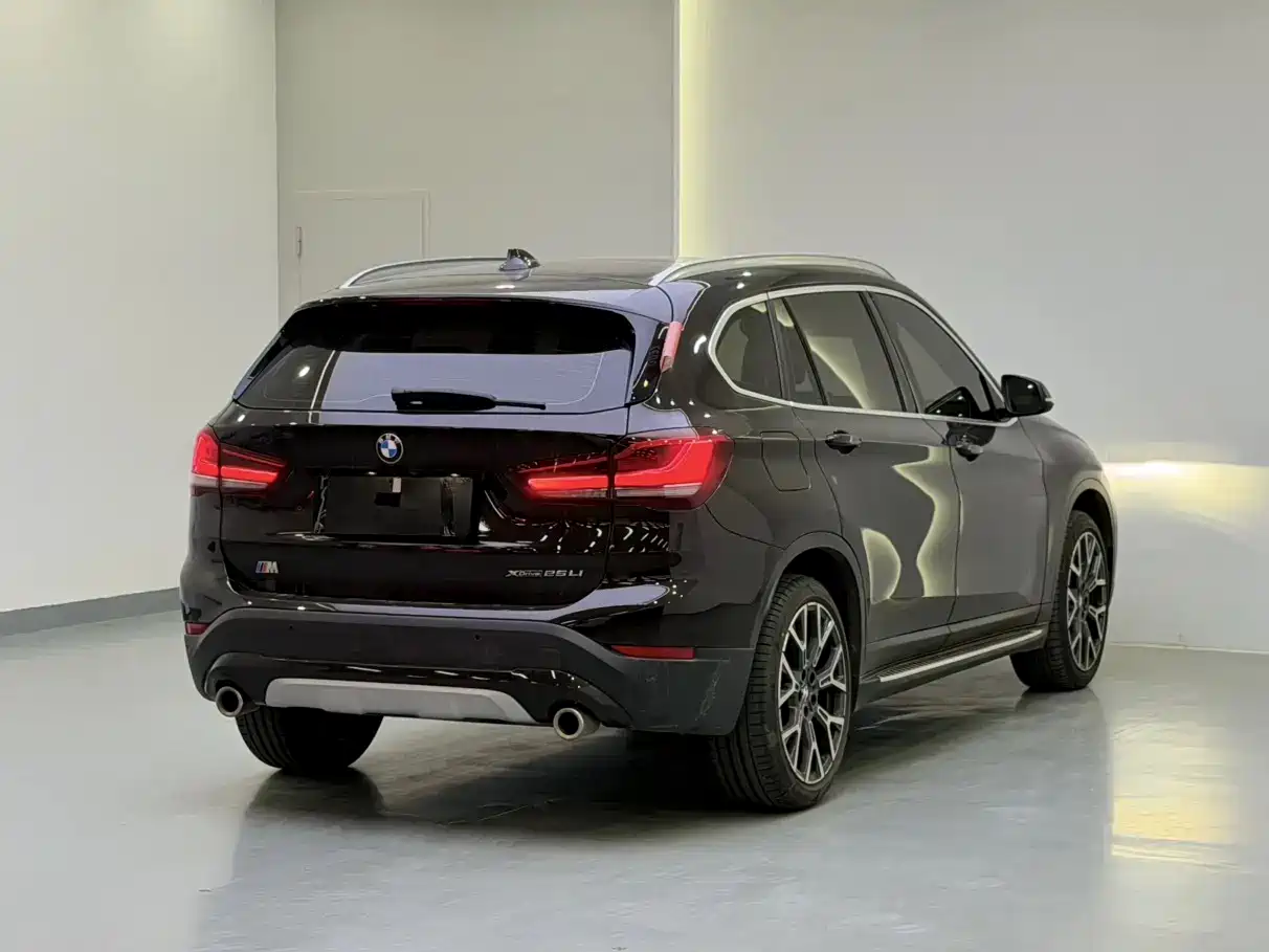 BMW X1 2020 xDrive25Li Premium Edition фото 6