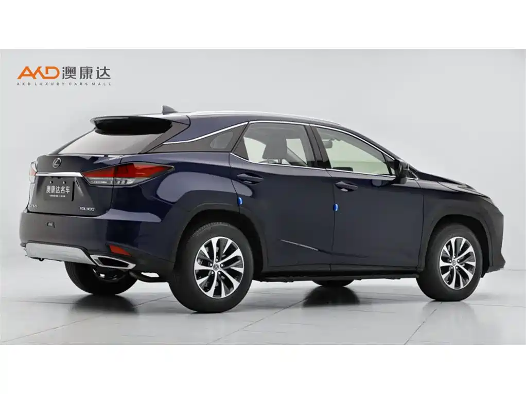 Lexus RX 2020 Facelift 300 2WD Elite Edition фото 3