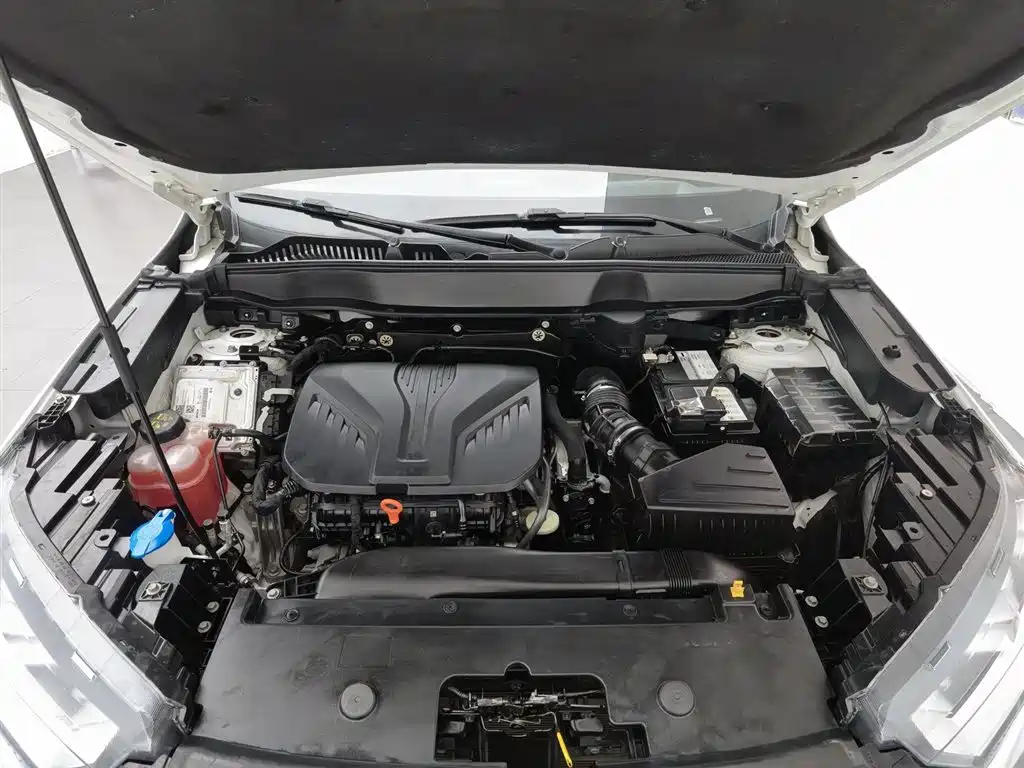 Haval H6 2021 3rd Generation 2.0T Auto AWD Max фото 6