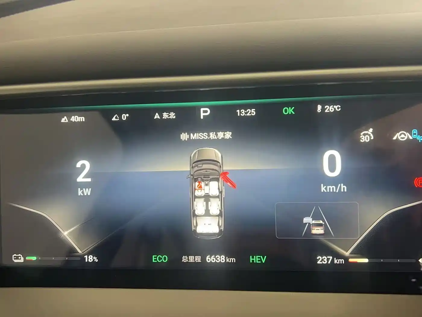Denza D9 2024 DM-i 980 AWD Prestige фото 5