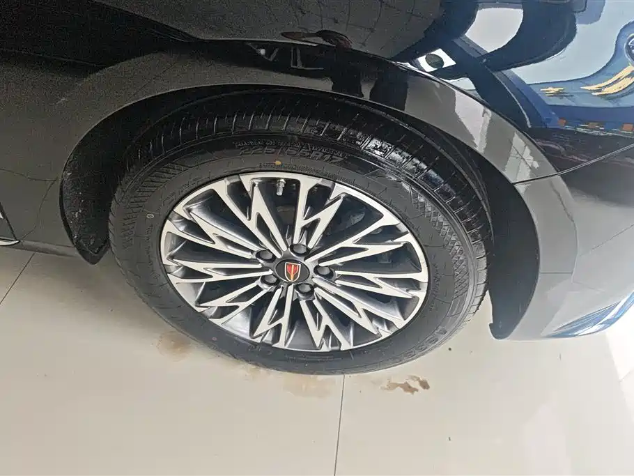 Hongqi H5 2023 2.0T Auto Smart Connect Flag Comfort фото 6