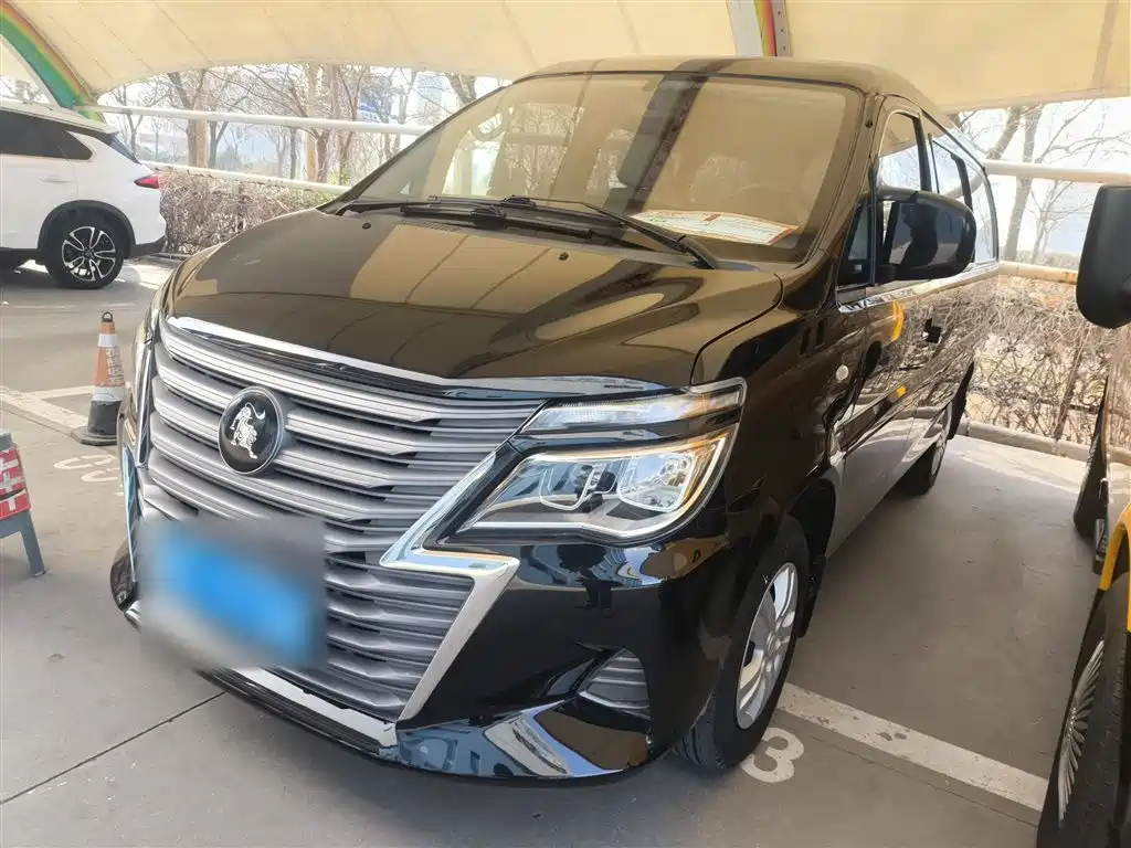DONGFENG POPULAR LINGZHI