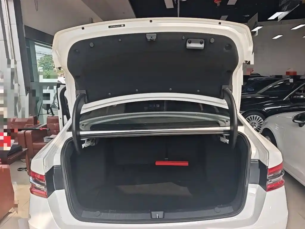 BYD Qin Pro 2020 Surpass Edition 1.5TI Manual Luxury фото 19