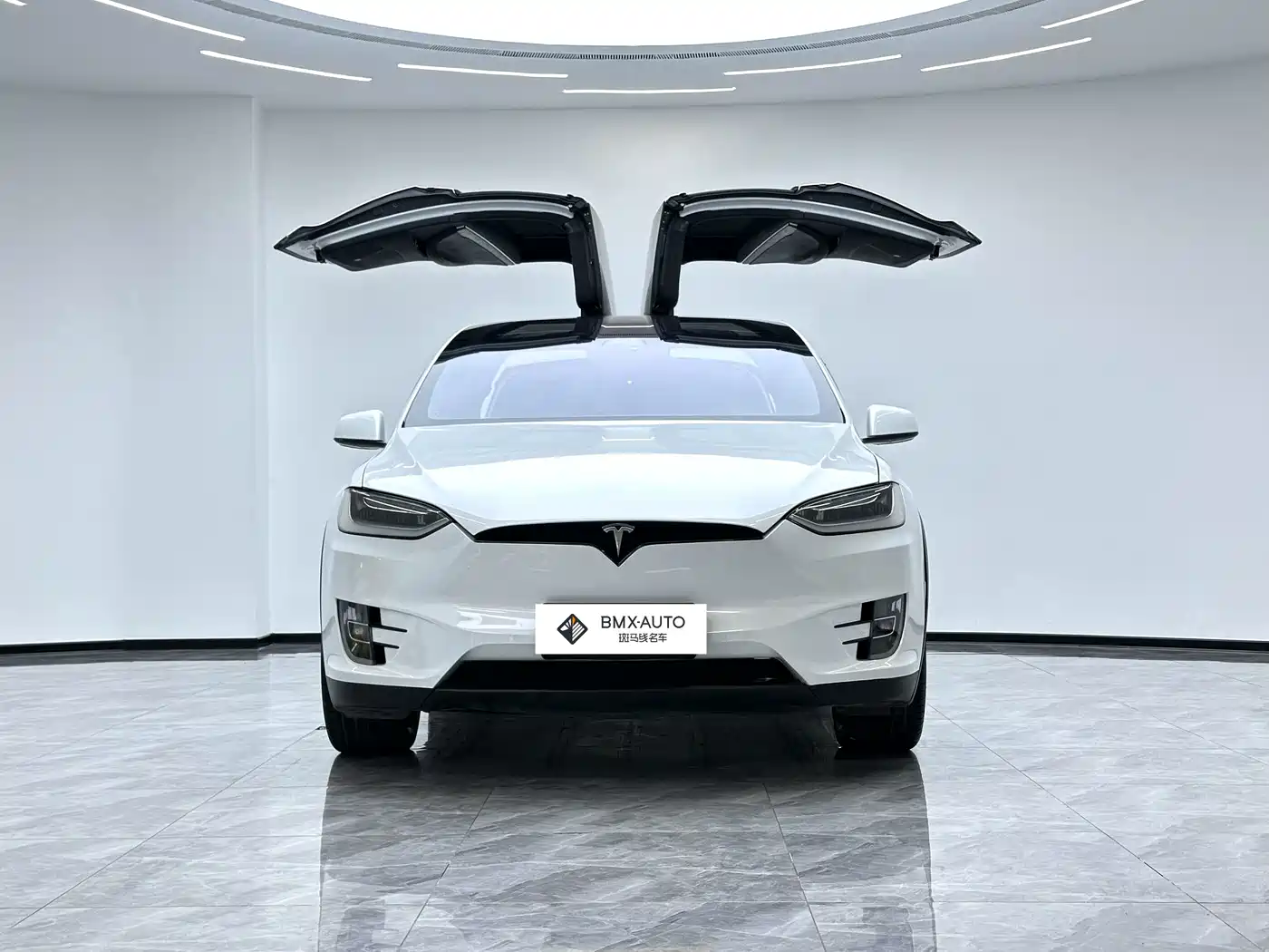 Tesla Model X 2017 2016 Model X P100D Performance