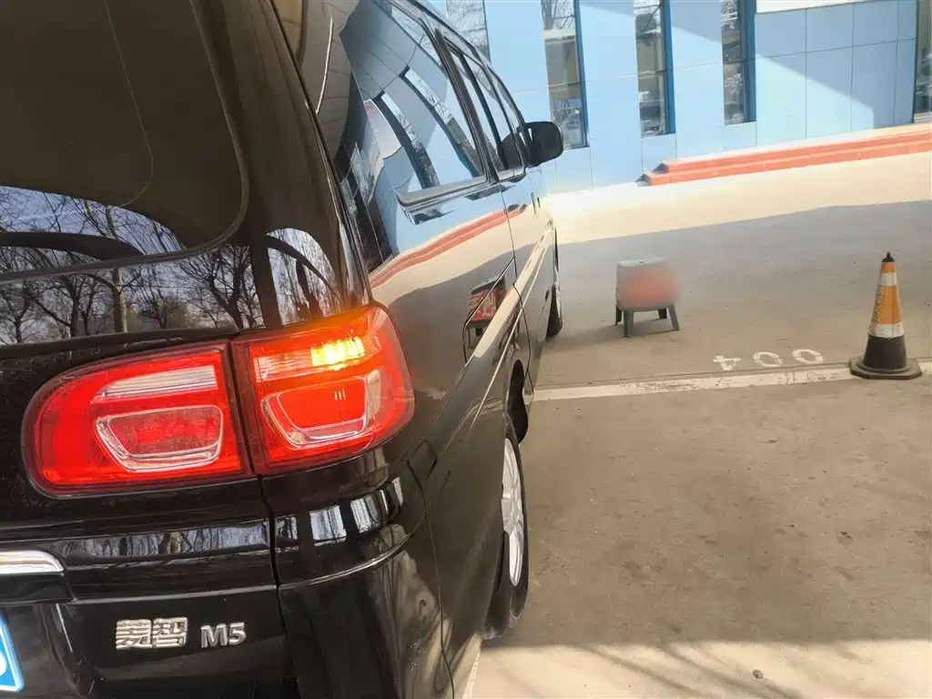 DONGFENG POPULAR LINGZHI