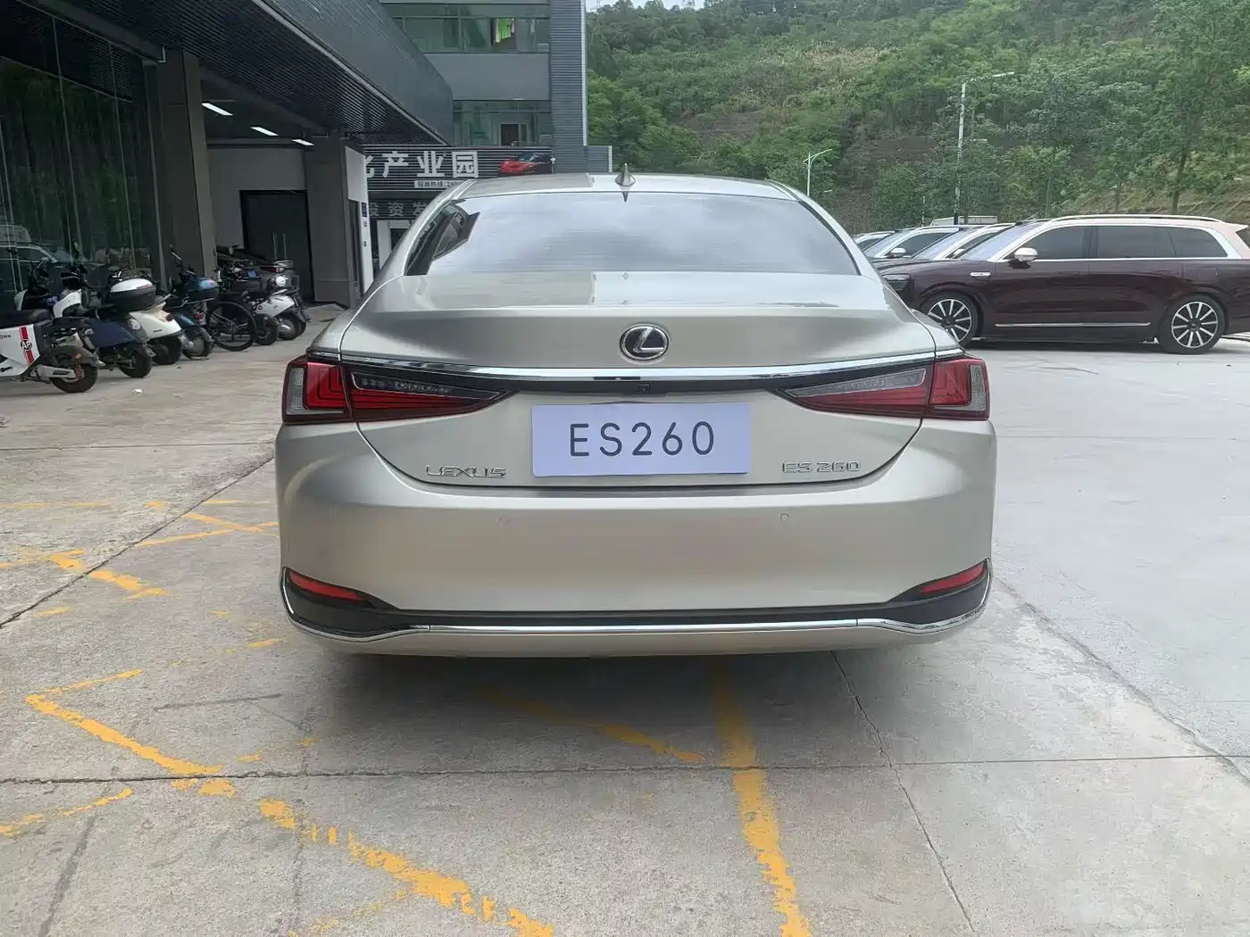 Lexus ES 2018 260 Excellence Edition China V фото 8