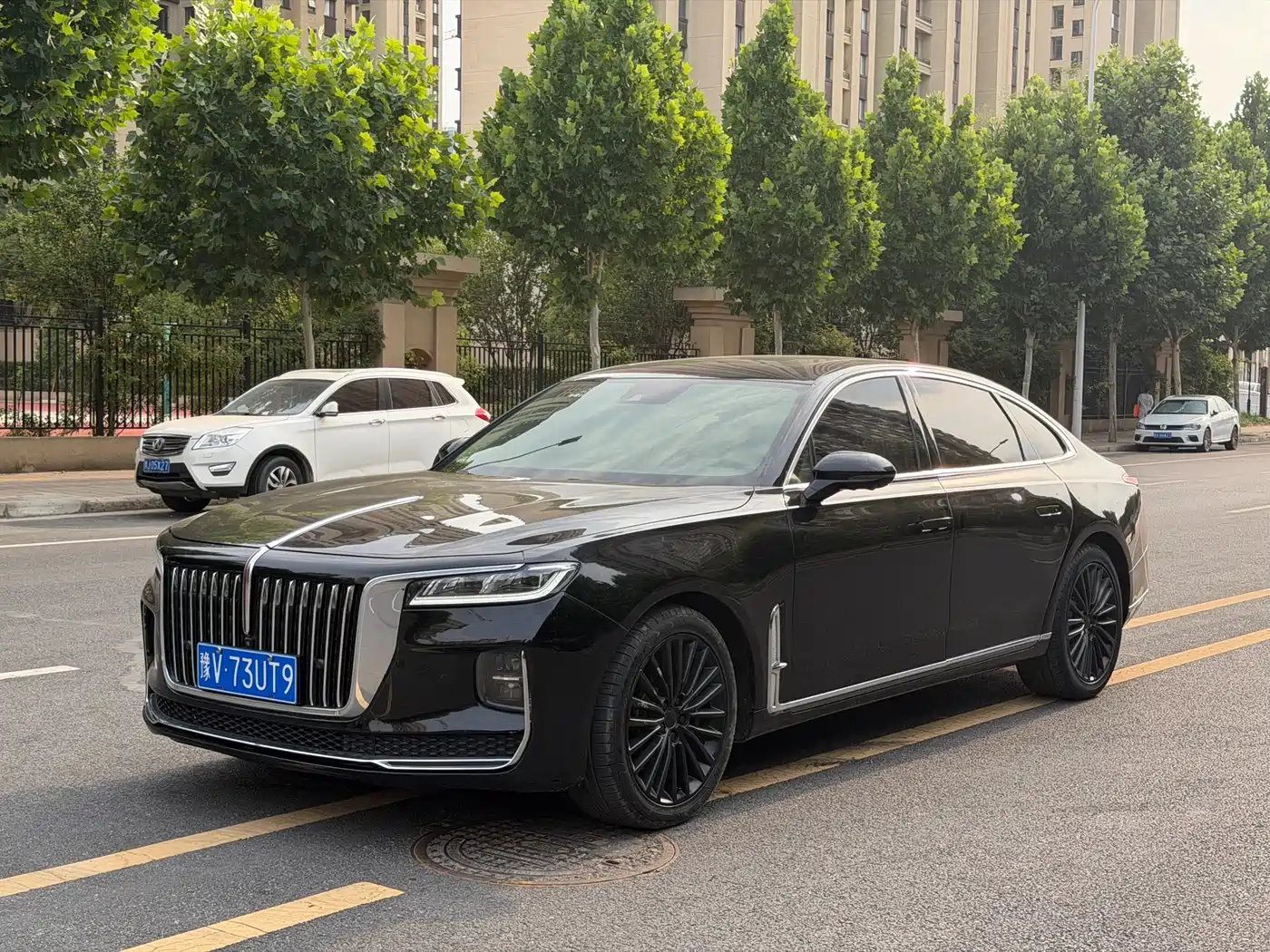 Hongqi H9 2020 2.0T Smart Connection Qi Xiang Edition