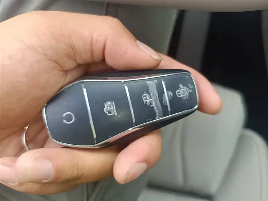 BYD Tang New Energy 2025 Smart Driving Edition DM-i 115KM Flagship фото 9