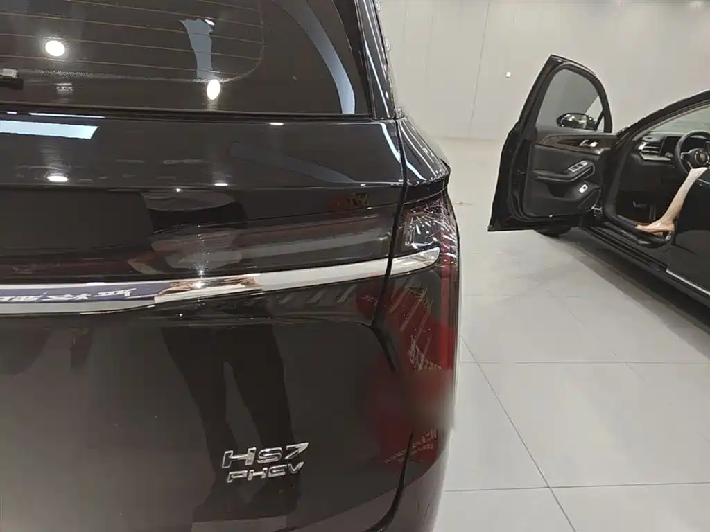 Hongqi HS7 PHEV 2024 2.0T PHEV 4WD Flagship Edition 6-seater фото 8