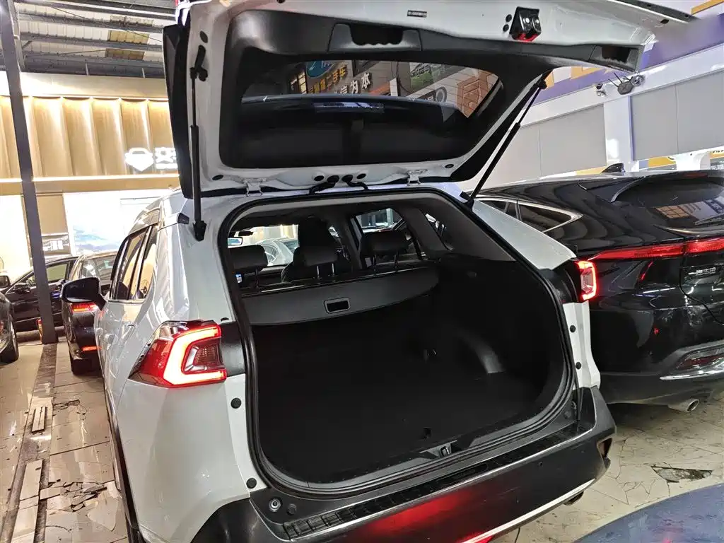Toyota Wildlander 2020 2.0L CVT 2WD Tech Edition фото 19