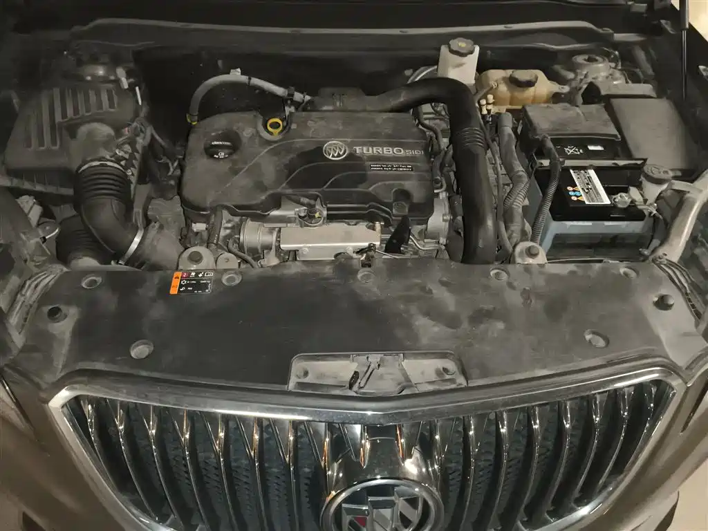 Buick Envision Plus 2016 20T 2WD Elite фото 11