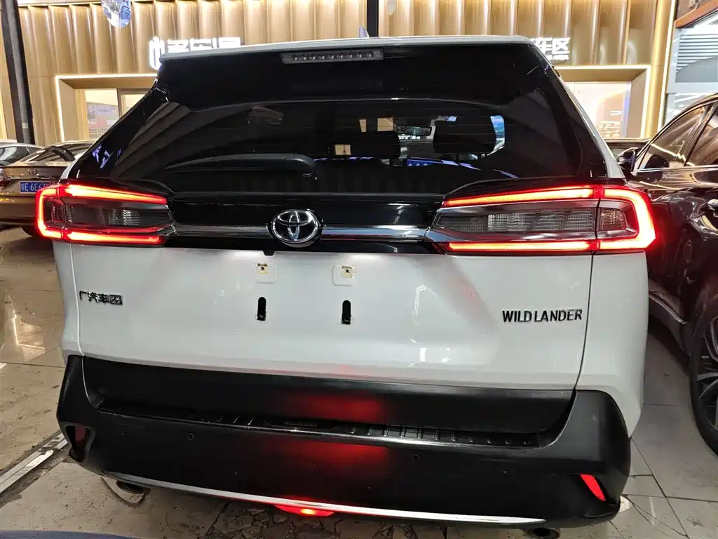 Toyota Wildlander 2020 2.0L CVT 2WD Tech Edition фото 6