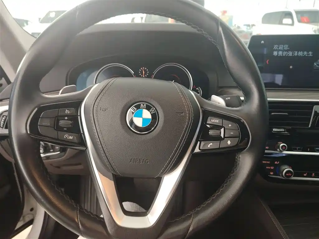 BMW 5 Series 2018 530Li Leading Luxury Package фото 9