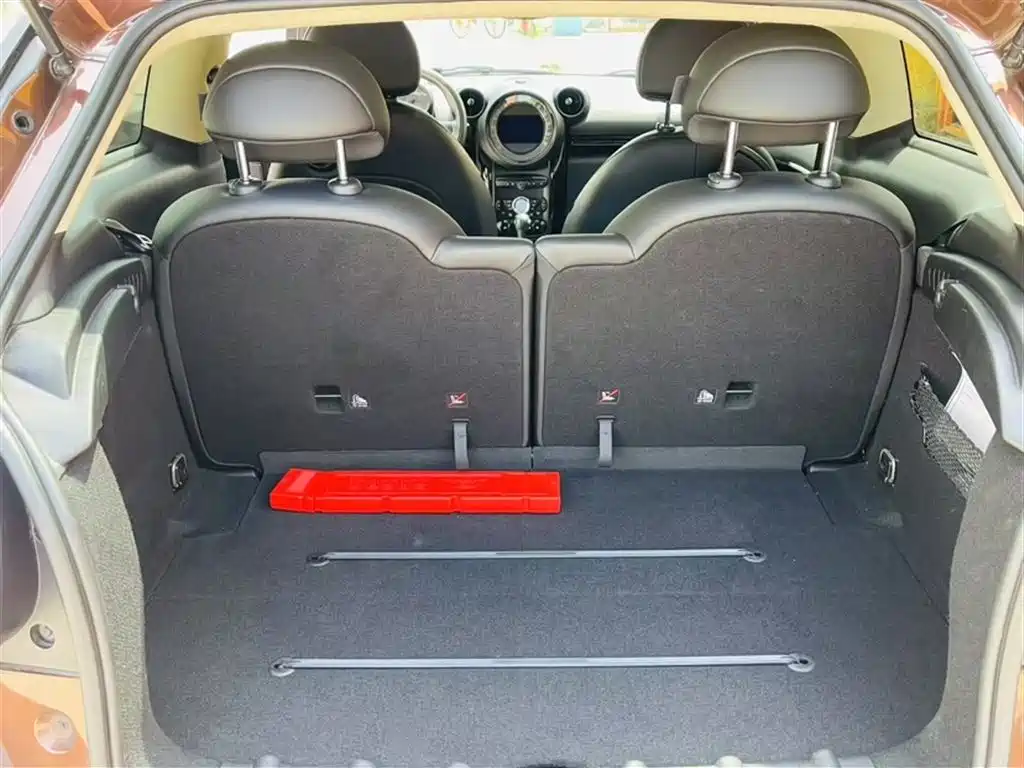 MINI PACEMAN