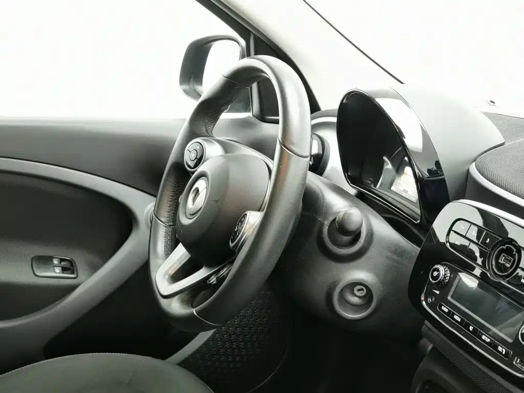 Фото 22 - smart forfour