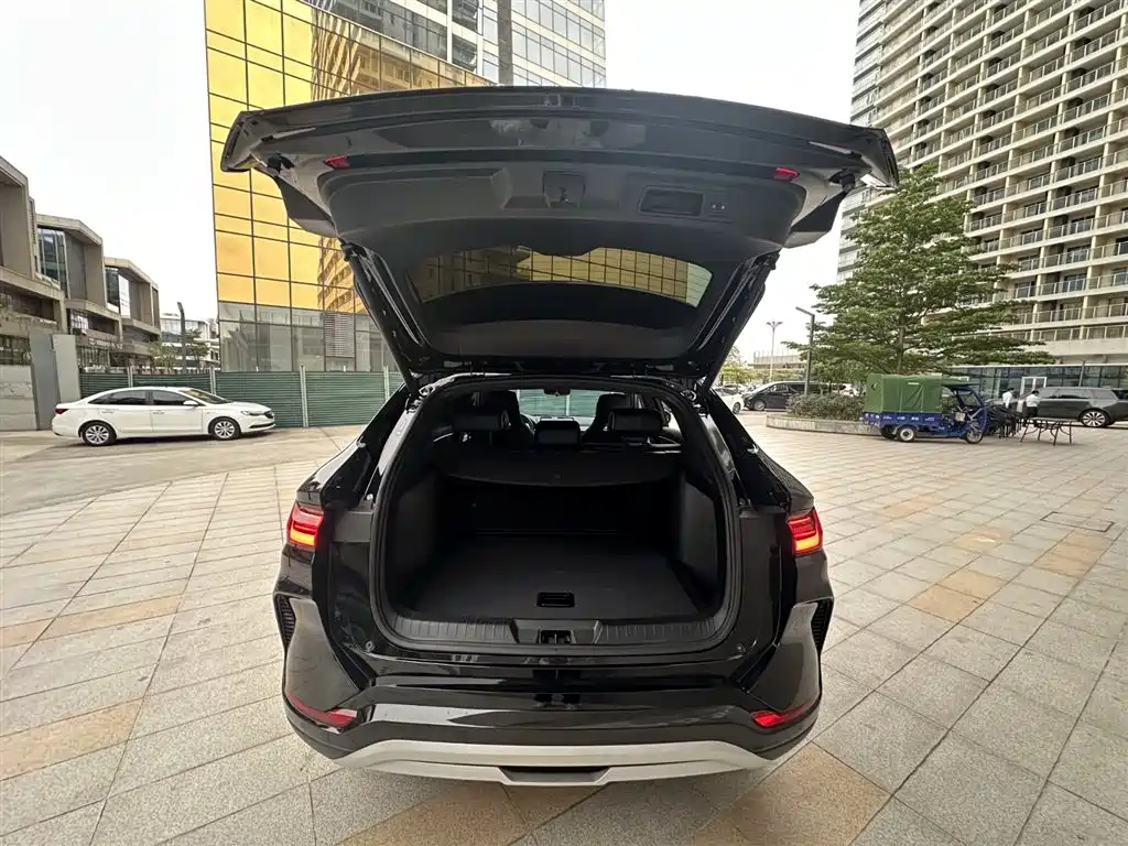 BYD SONGJIANG NEW ENERGY
