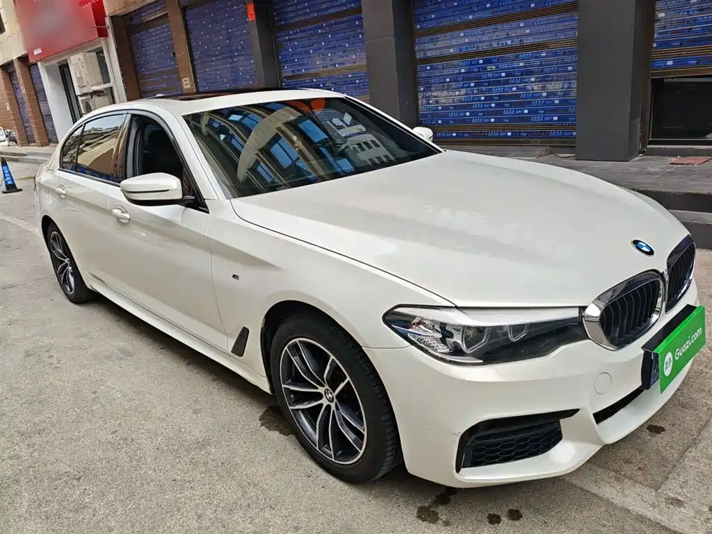 BMW 5 Series 2019 525Li M Sport Package фото 23