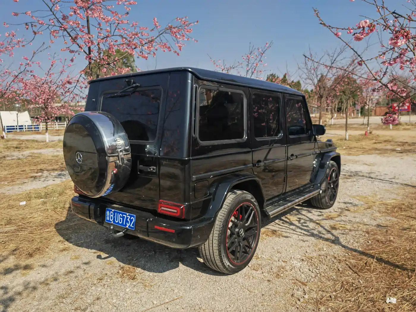 Mercedes-Benz G-Class 2010 G 500 фото 4