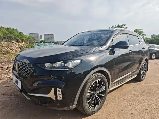  WEY Wey VV6 2021 2.0T 2WD Smart Joy+