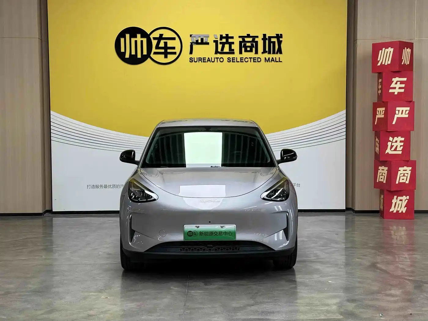 Geely Galaxy Starry Wish 2025 2025 310km Dream Edition