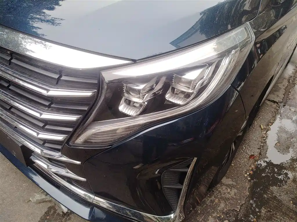 GAC Trumpchi Trumpchi M8 2023 Leading Series 390T Premium Edition фото 24
