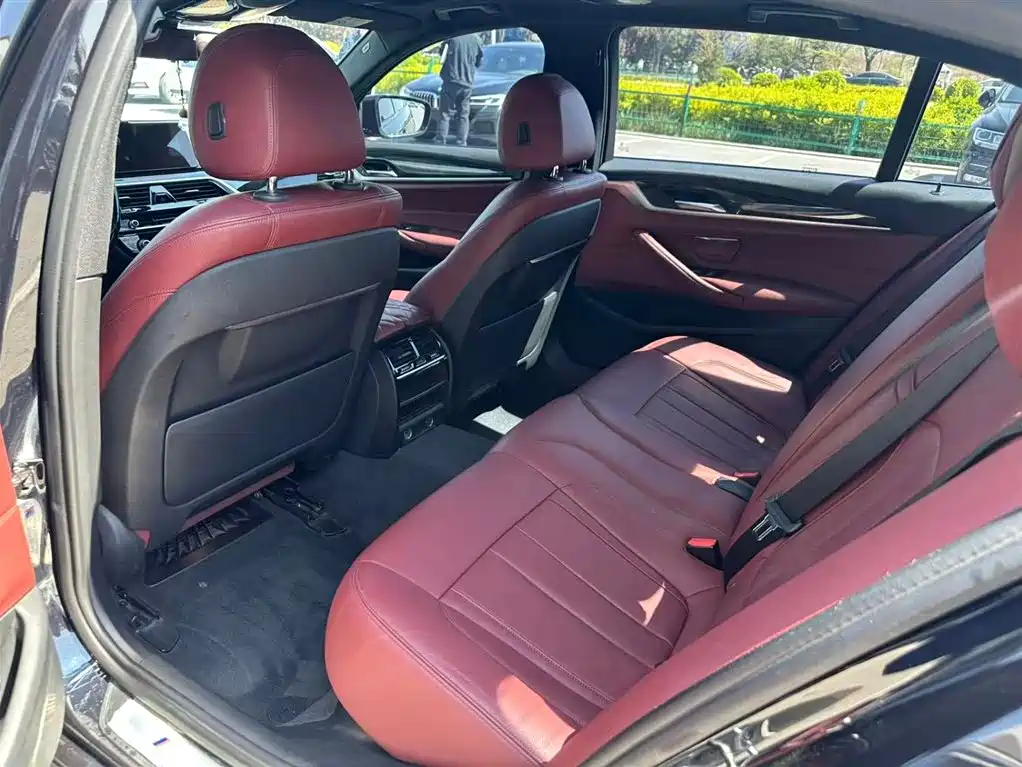 BMW 5 Series 2019 530Li Leading M Sport Package фото 10