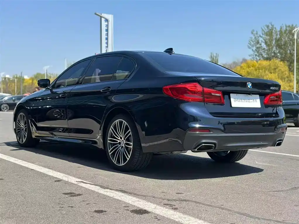 BMW 5 Series 2019 530Li Leading M Sport Package фото 6