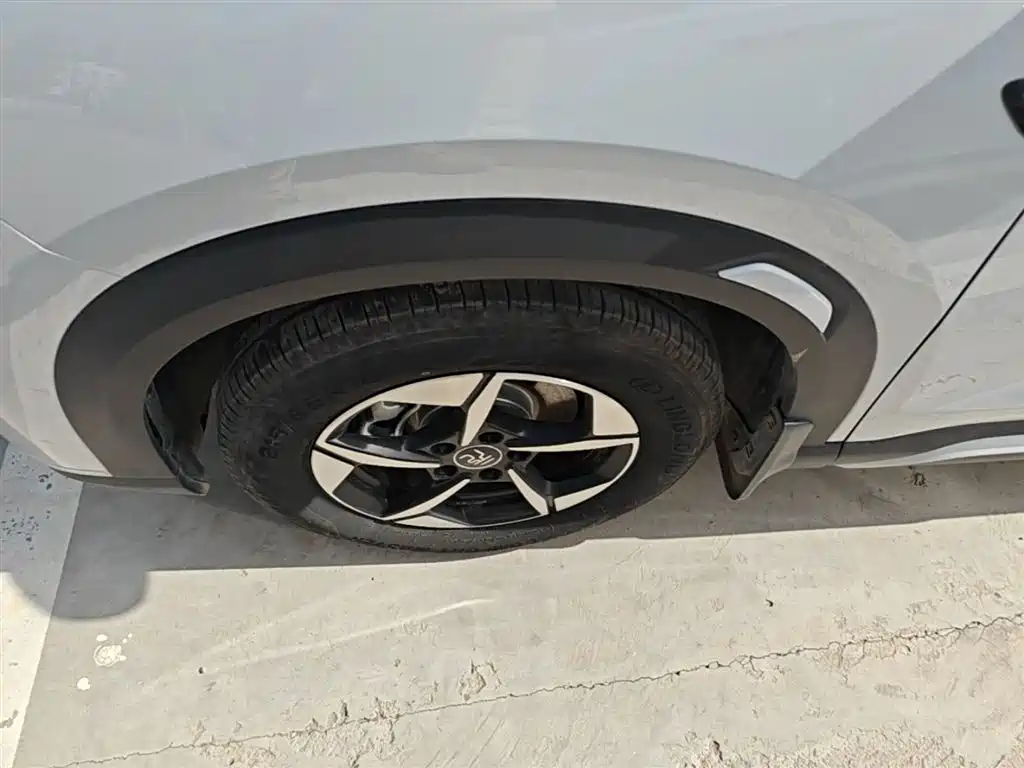 BYD Yuan UP 2024 401KM Leading Edition фото 23