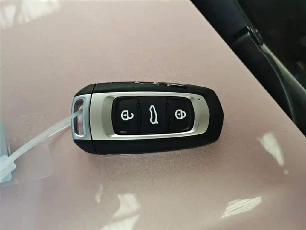 Geely Galaxy Panda 2025 Panda mini 210km Vitality Bear фото 9