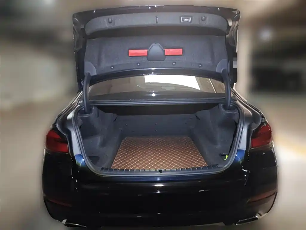 BMW 5 Series 2022 Facelift 525Li Luxury Package фото 10