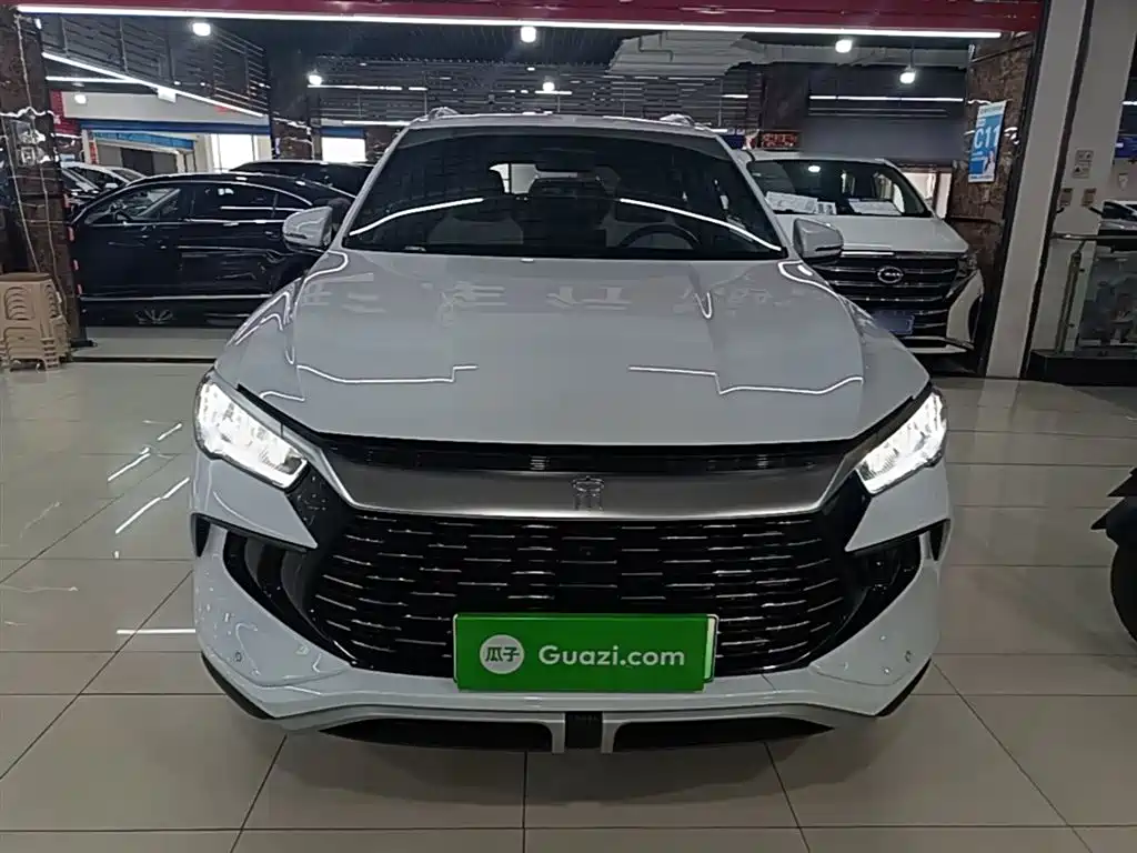 BYD Song Pro New Energy 2023 Champion Edition DM-i 110KM Surpassing Type фото 3