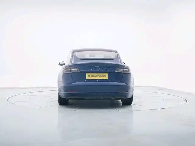 TESLA MODEL 3 (IMPORTED)