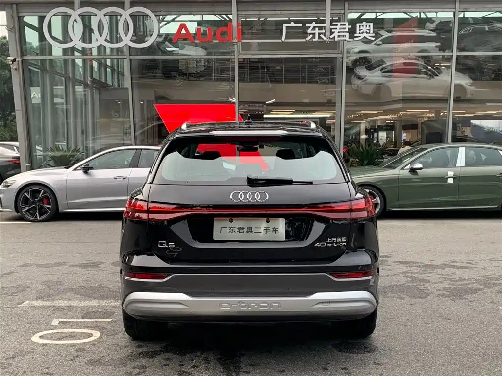 Audi Q5 e-tron 2023 40 e-tron Shining Edition Brocade Package фото 4