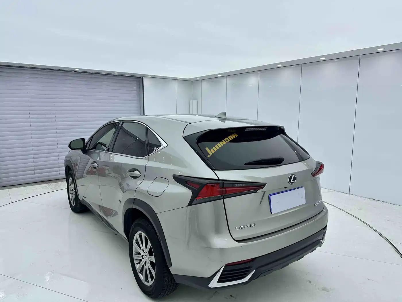 LEXUS NX