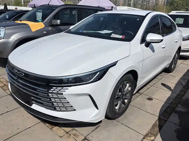 BYD DESTROYER 05