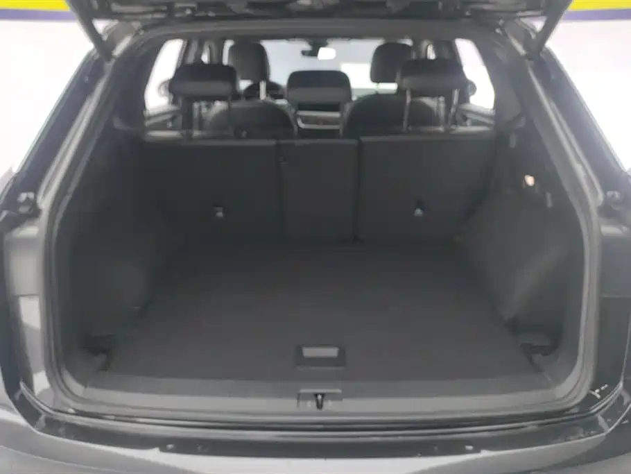 VOLKSWAGEN TANYUE