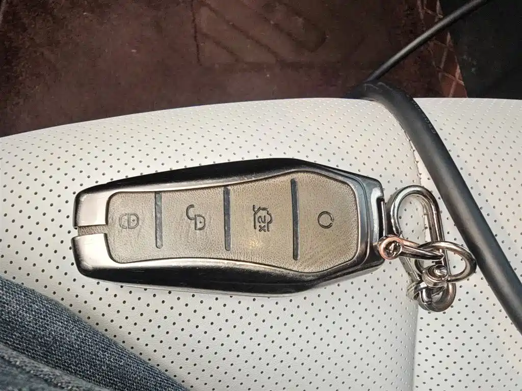 BYD Seal 06 New Energy 2024 DM-i 80KM Luxury фото 9
