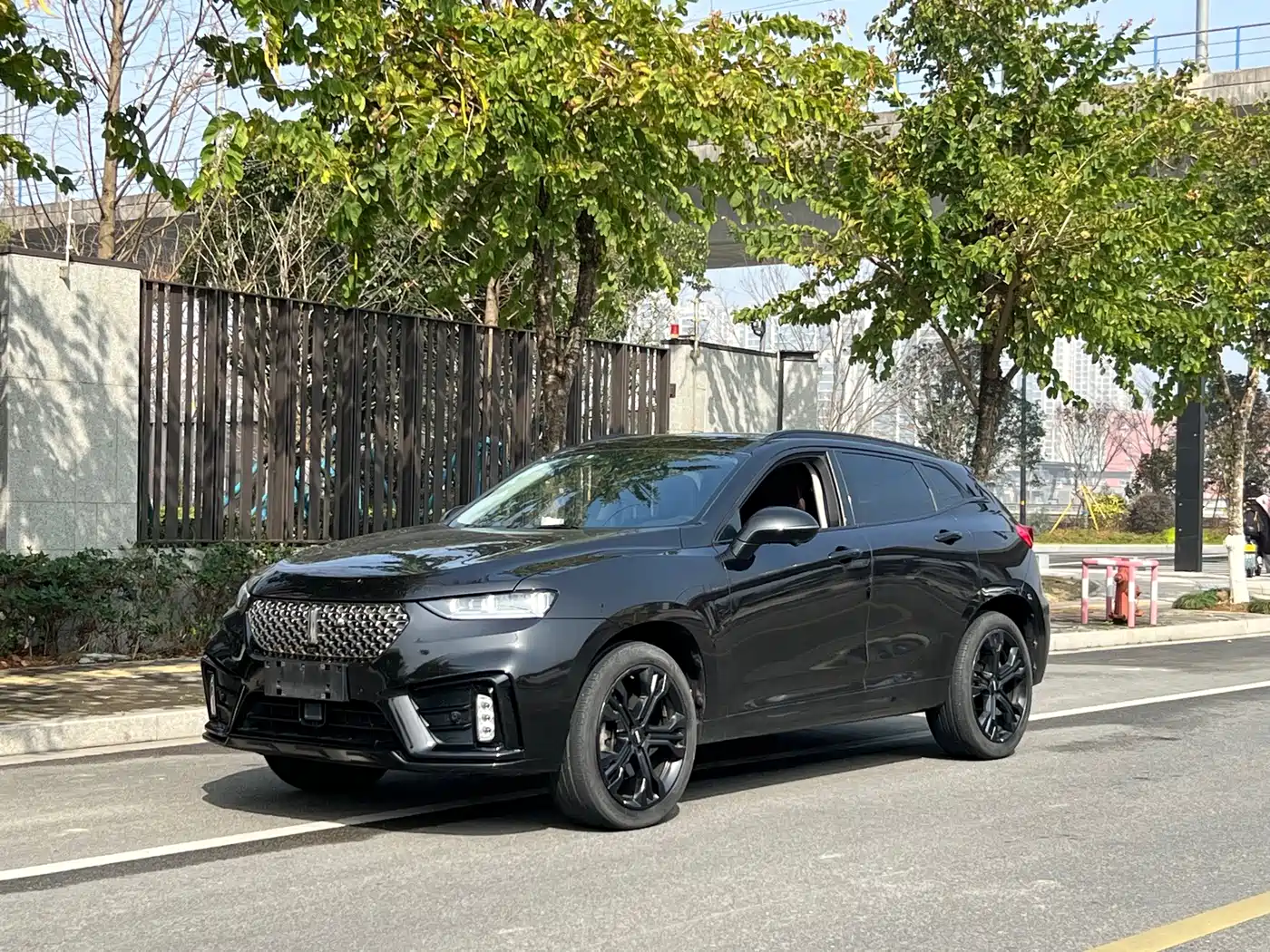 WEY VV7 2020 2020 Model 2.0T Flagship