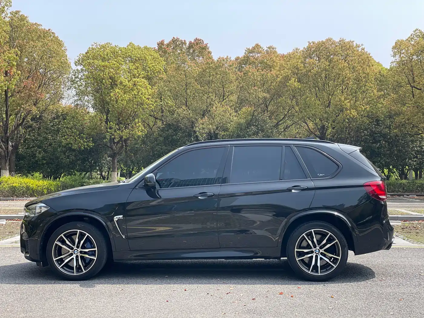BMW X5 M 2013 X5 M фото 13