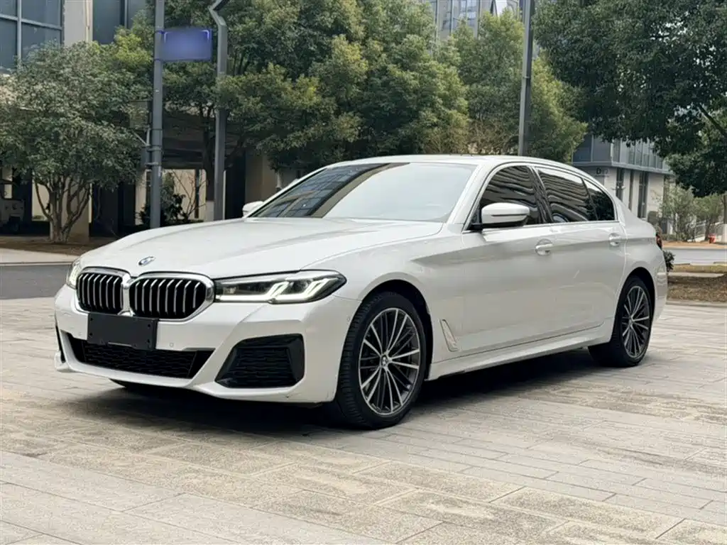 BMW 5 Series 2021 530Li Leading M Sport Package фото 2