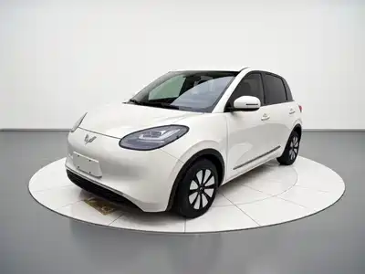 Wuling Bingo